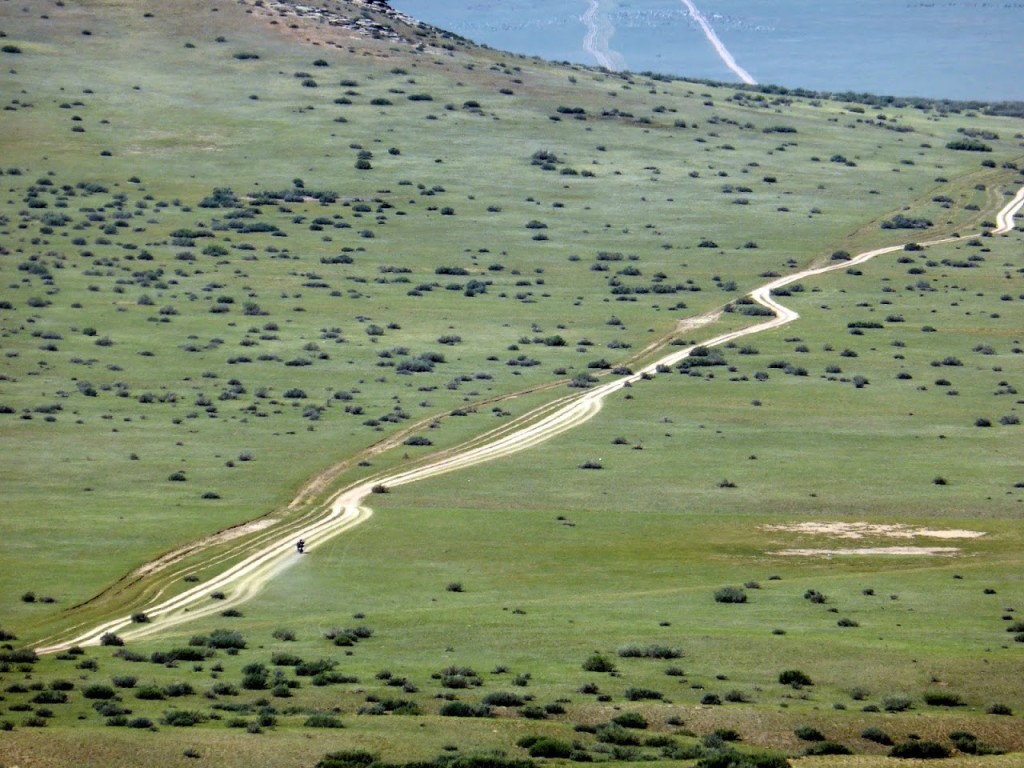 P1030445